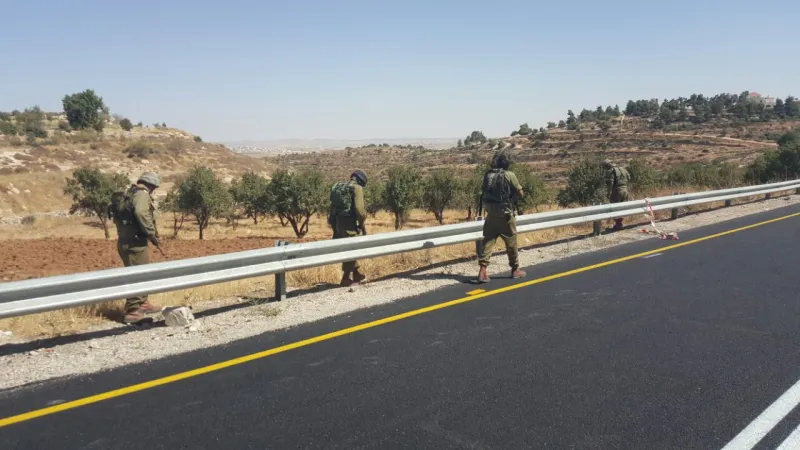 כוחות צה"ל בזירה 
