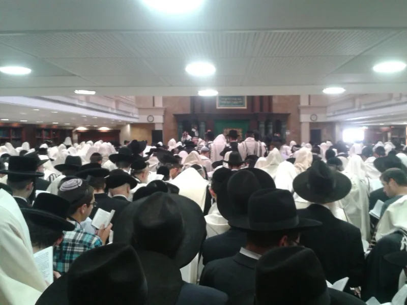 IMG-20141120-WA0027