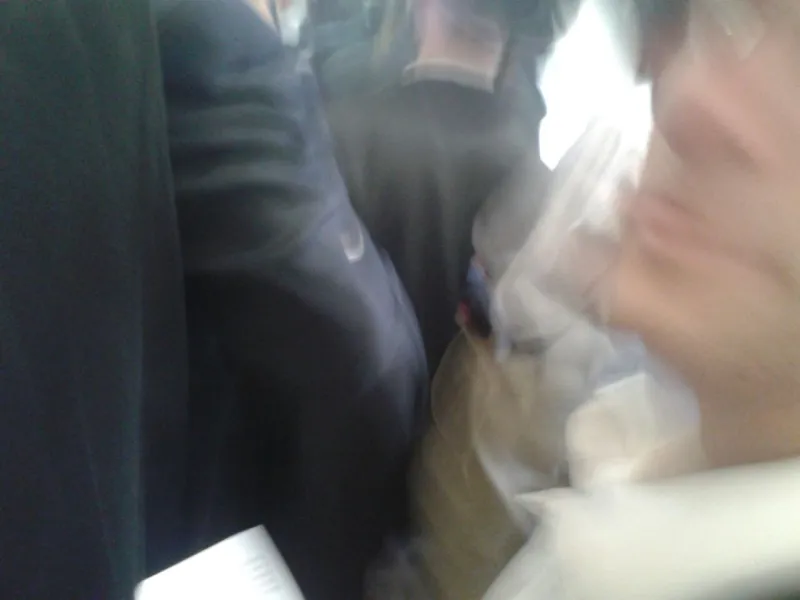 IMG-20141120-WA0032