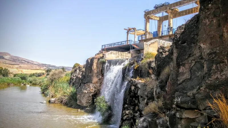 נהריים