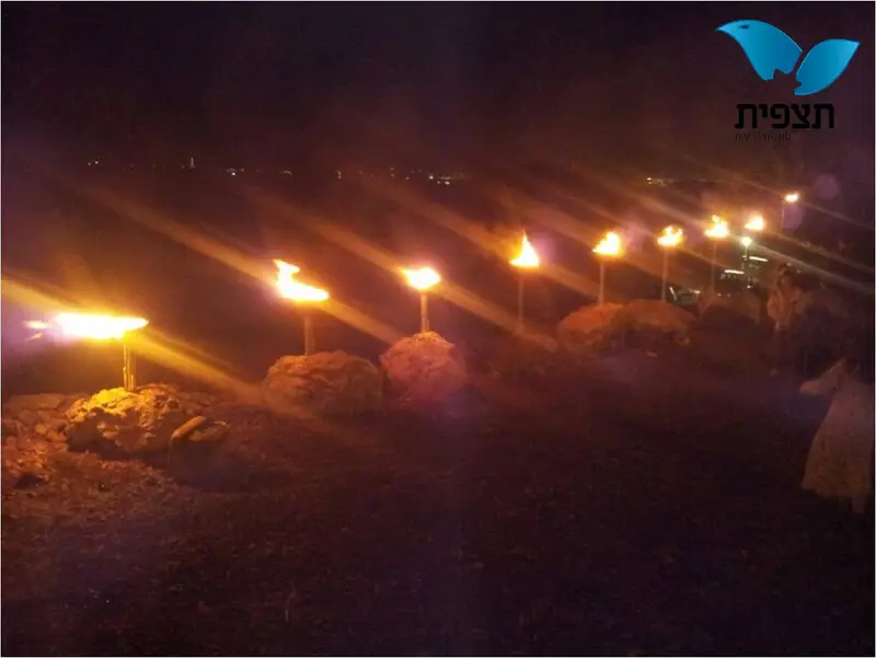 תמונה1