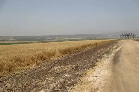 chita 01