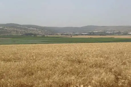 chita 02