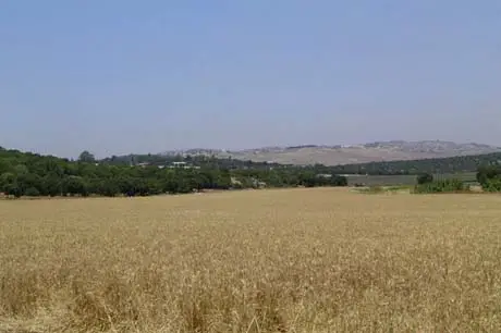 chita 05