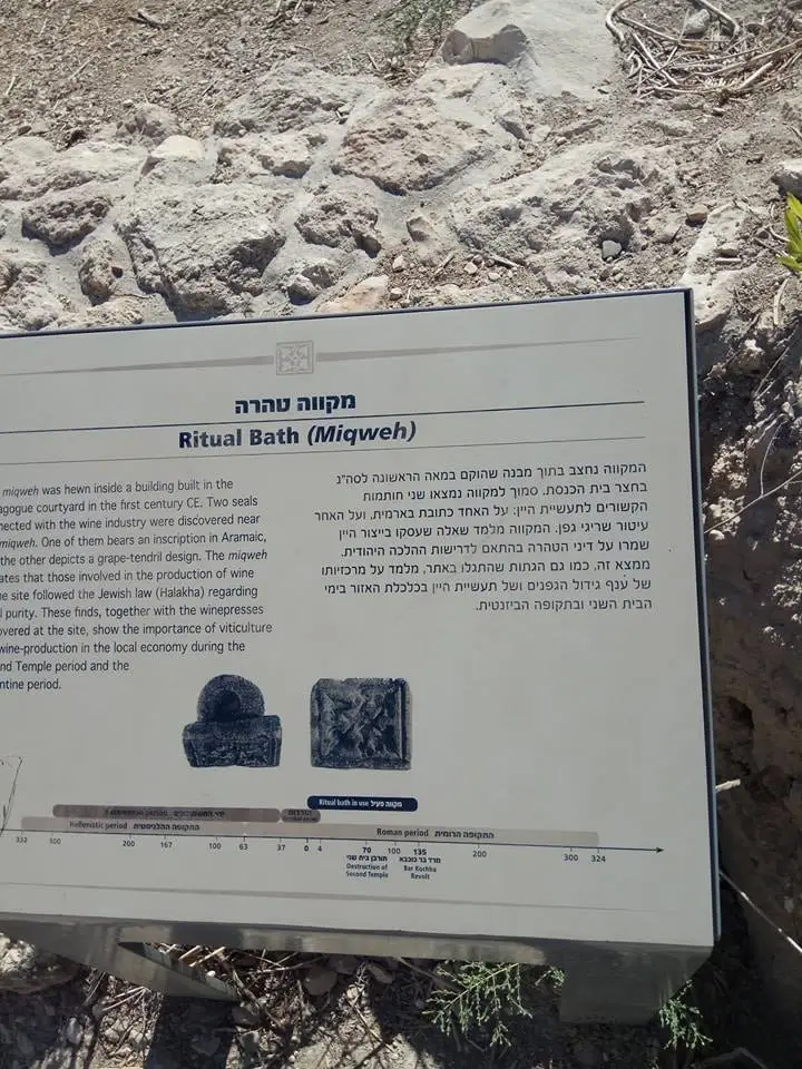 גולדהבר 2