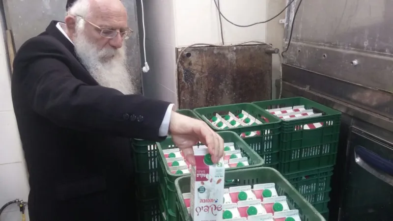 מירון חלב (2)