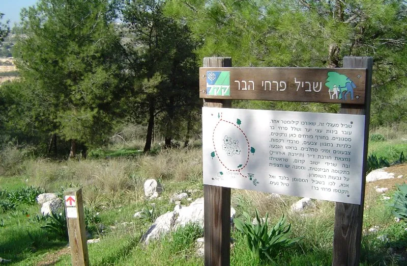 שביל הפריחה 006