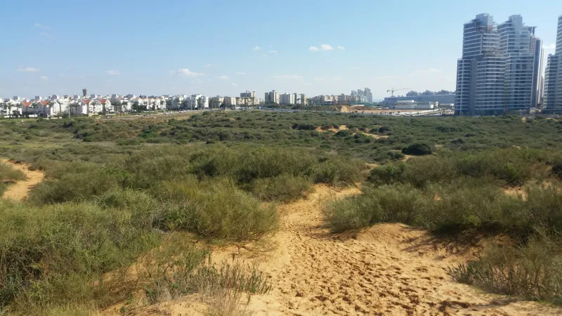 שמורות