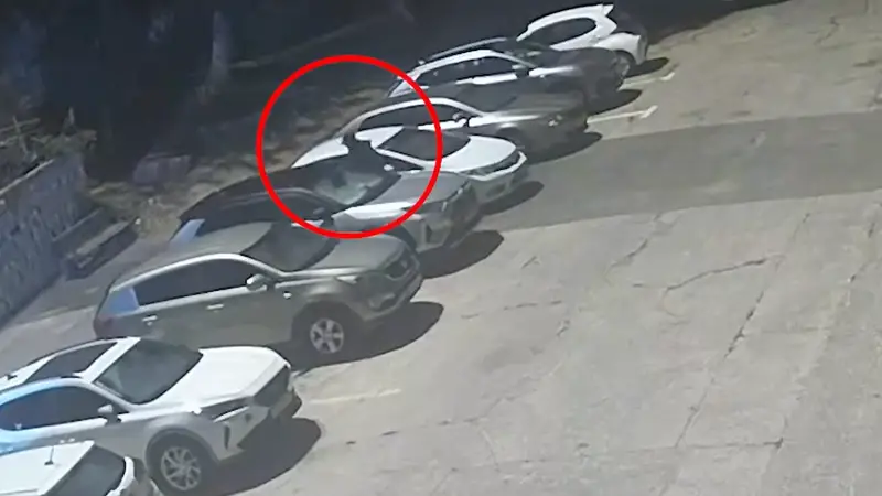 תיעוד: החשוד בגניבת הרכב מי-ם אותר ונעצר