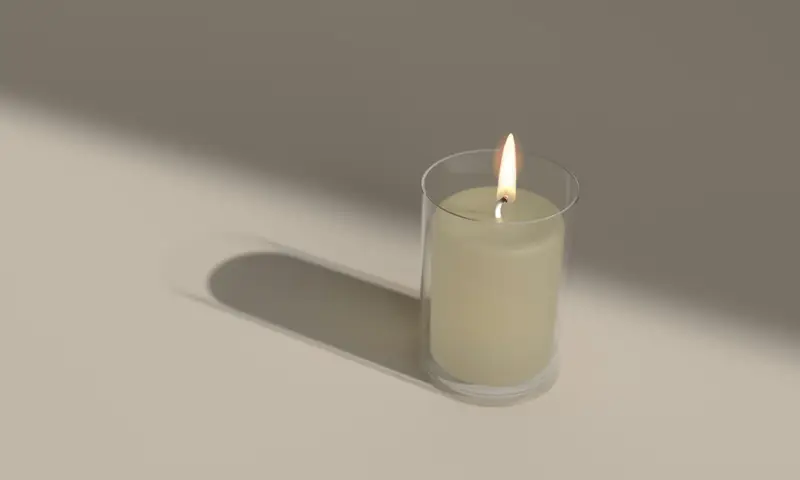 ציפתה 16 שנים לילדים: לאה יוכבד זינגר נהרגה בתאונה