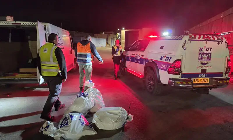 המטוס נחת הלילה: לאה יוכבד זינגר ע"ה הובאה לישראל