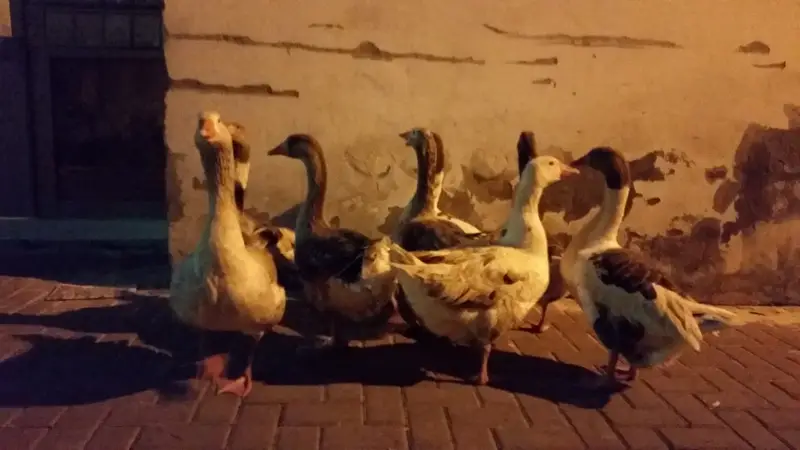 20150114_042610