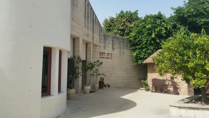 מוזיאון