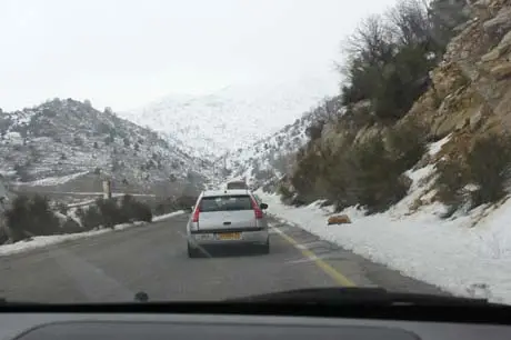 sheleg_01