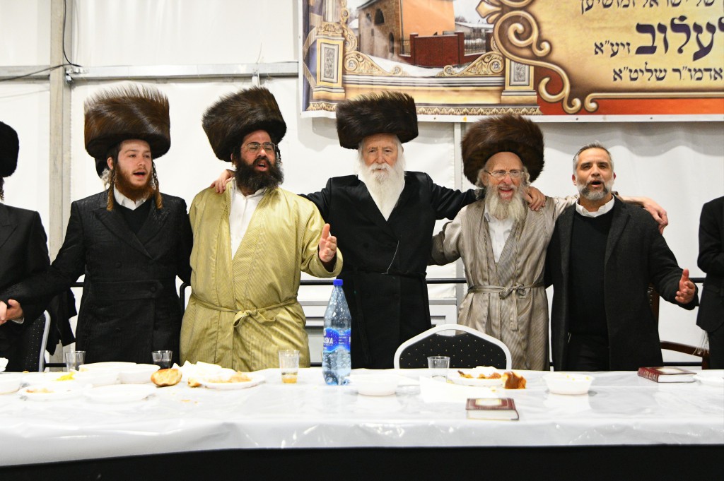 , צילום ארי קופרשטוק, לעלוב (124)