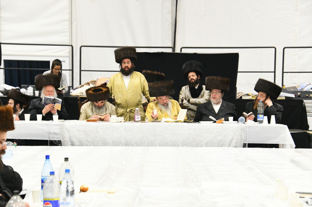 , צילום ארי קופרשטוק, לעלוב (169)