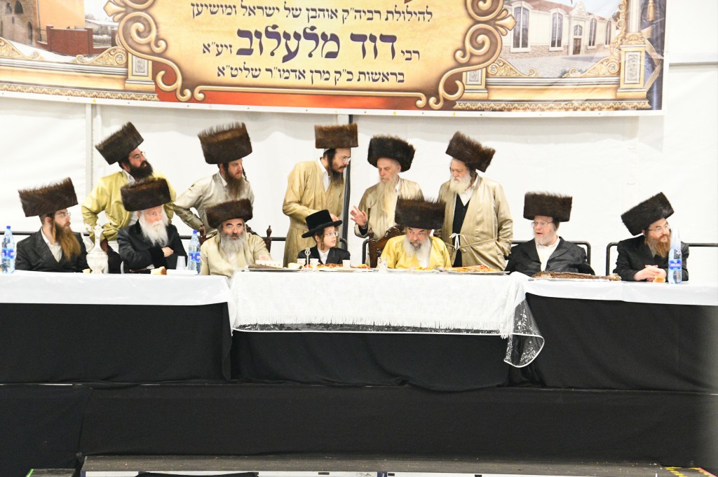 , צילום ארי קופרשטוק, לעלוב (203)