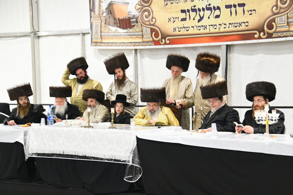 , צילום ארי קופרשטוק, לעלוב (208)