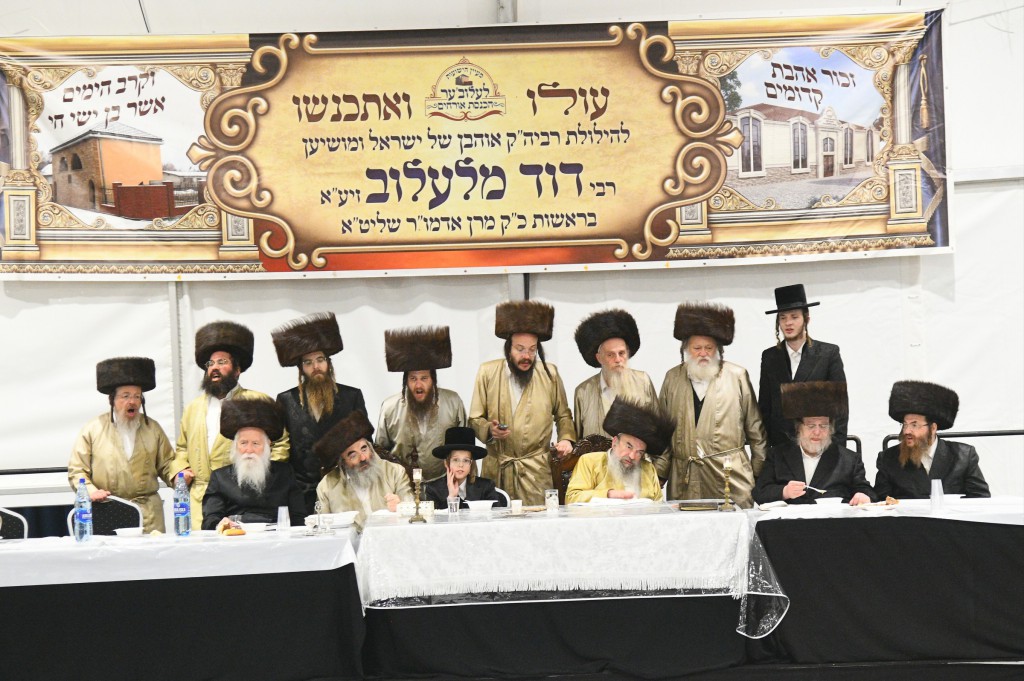 , צילום ארי קופרשטוק, לעלוב (216)