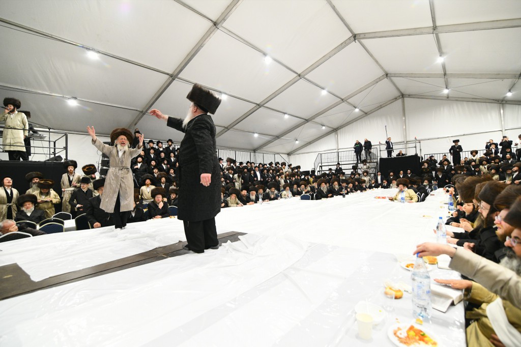 , צילום ארי קופרשטוק, לעלוב (217)