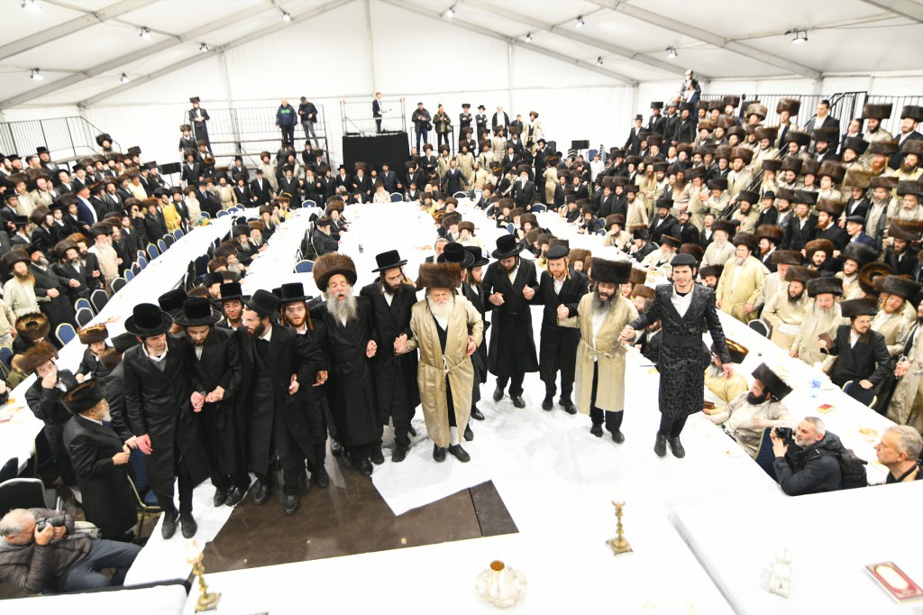 , צילום ארי קופרשטוק, לעלוב (223)