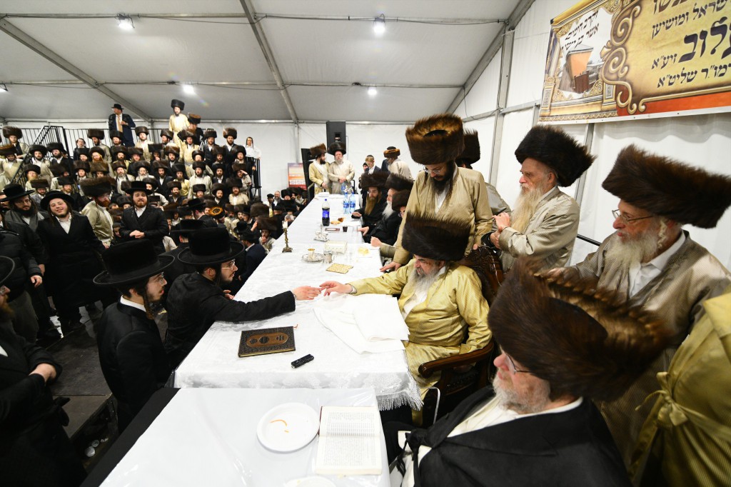 , צילום ארי קופרשטוק, לעלוב (224)