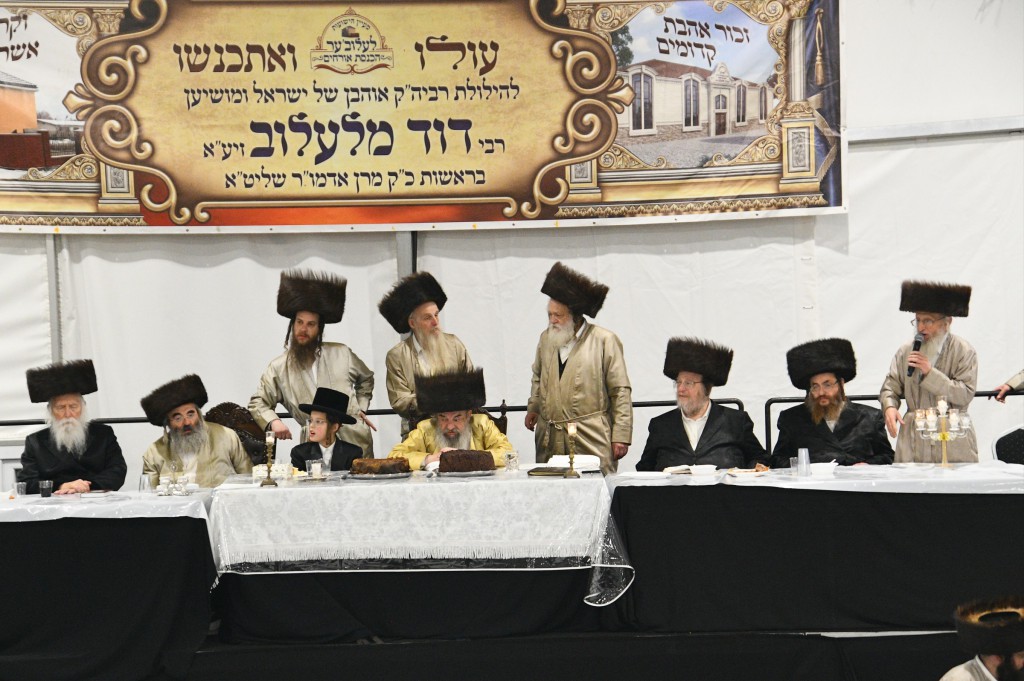 , צילום ארי קופרשטוק, לעלוב (226)