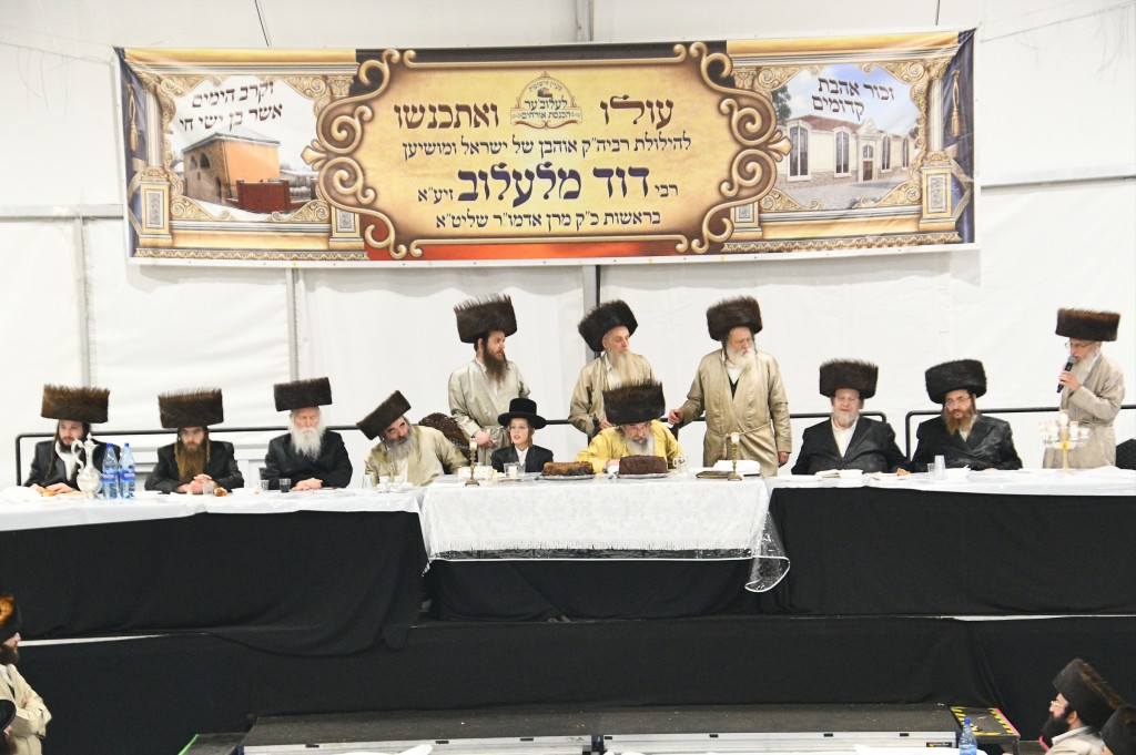 , צילום ארי קופרשטוק, לעלוב (227)