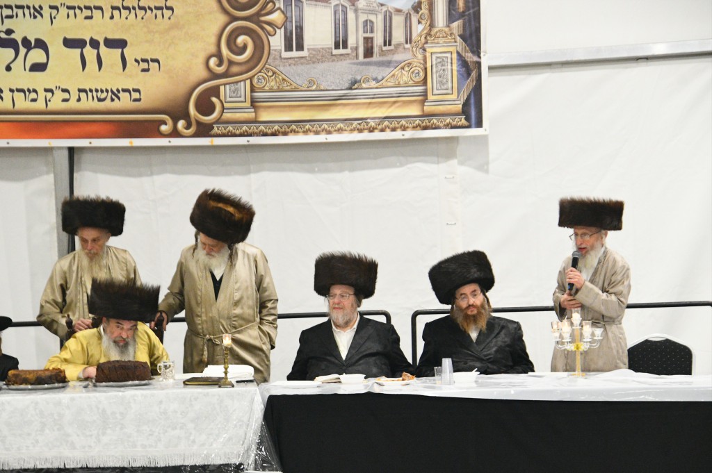, צילום ארי קופרשטוק, לעלוב (228)