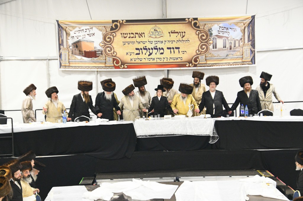 , צילום ארי קופרשטוק, לעלוב (233)