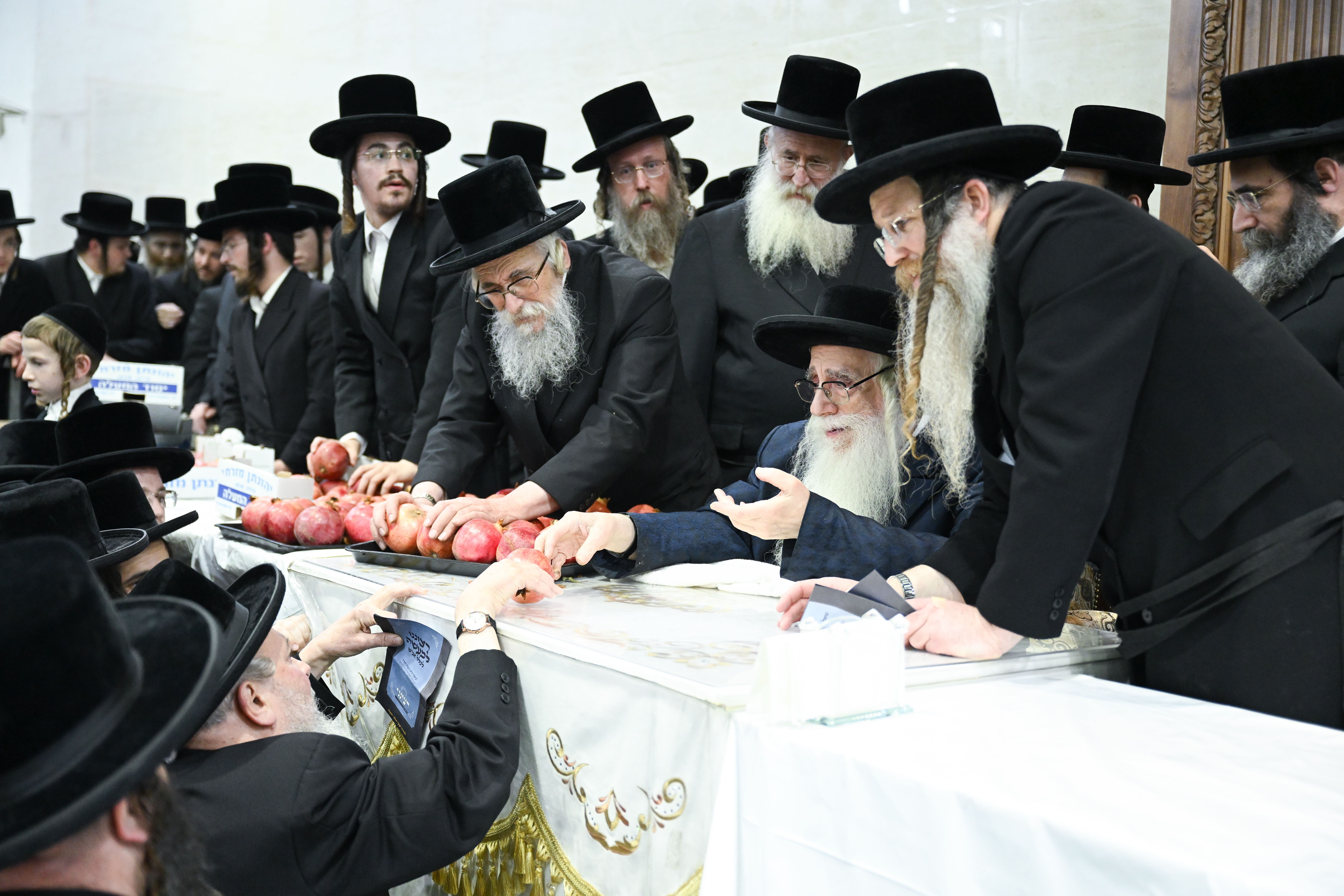 חמשה עשר בשבט בחצר הקודש צאנז (2) חמשה עשר בשבט בחצר הקודש צאנז (2)