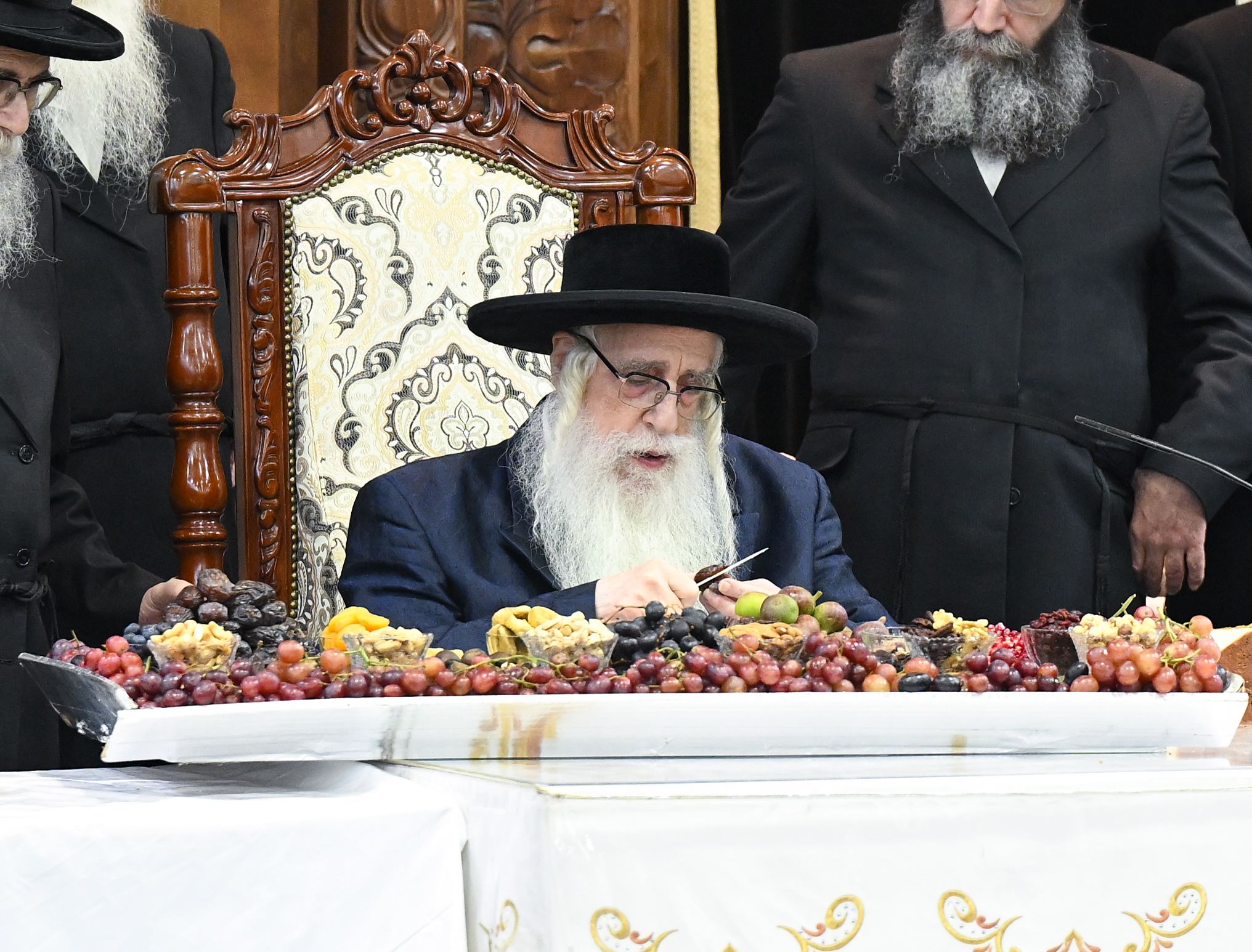 חמשה עשר בשבט בחצר הקודש צאנז (7) חמשה עשר בשבט בחצר הקודש צאנז (7)