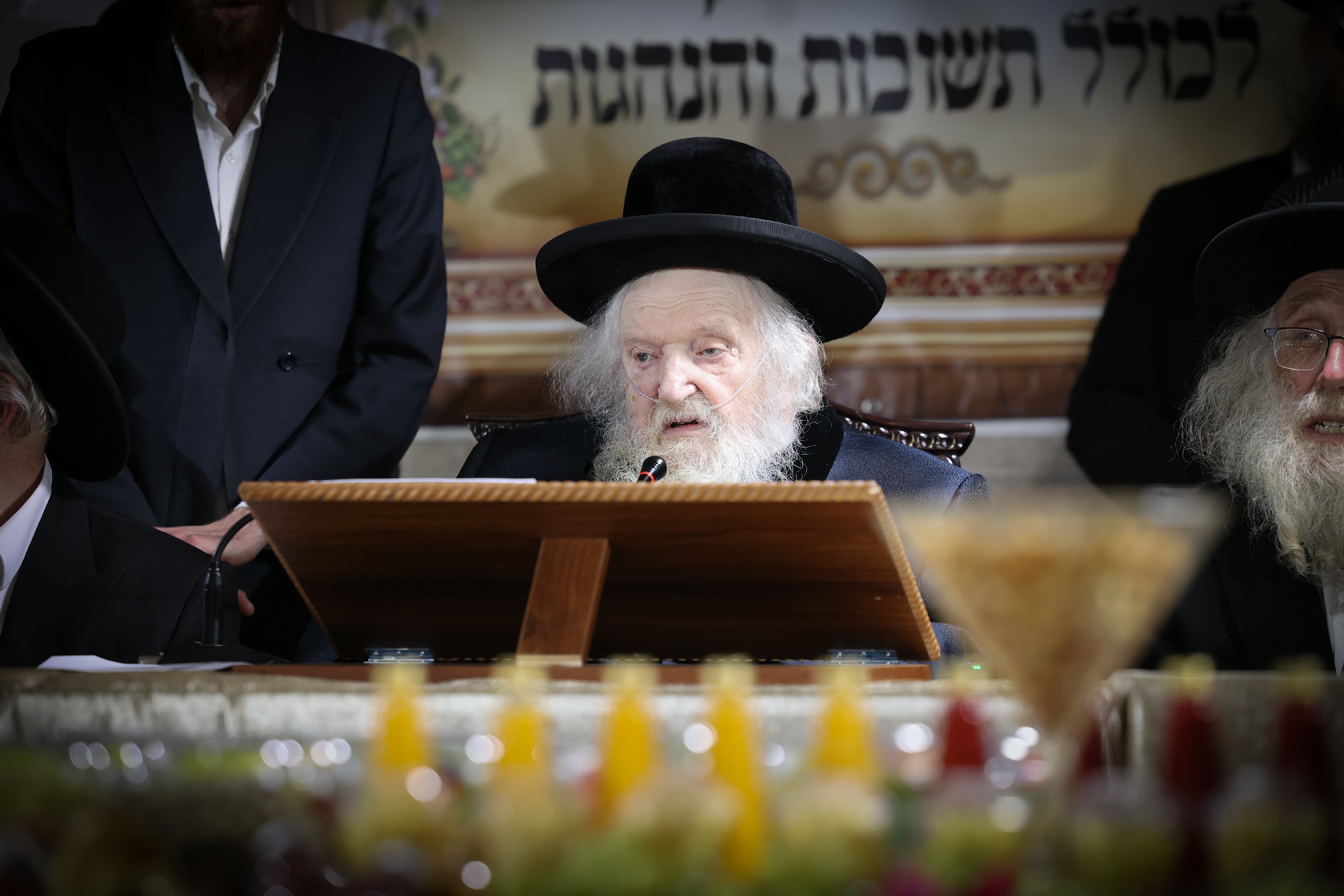 טו בשבט אצל הרב שטרנבוך, צילום דוד ארזני (18)