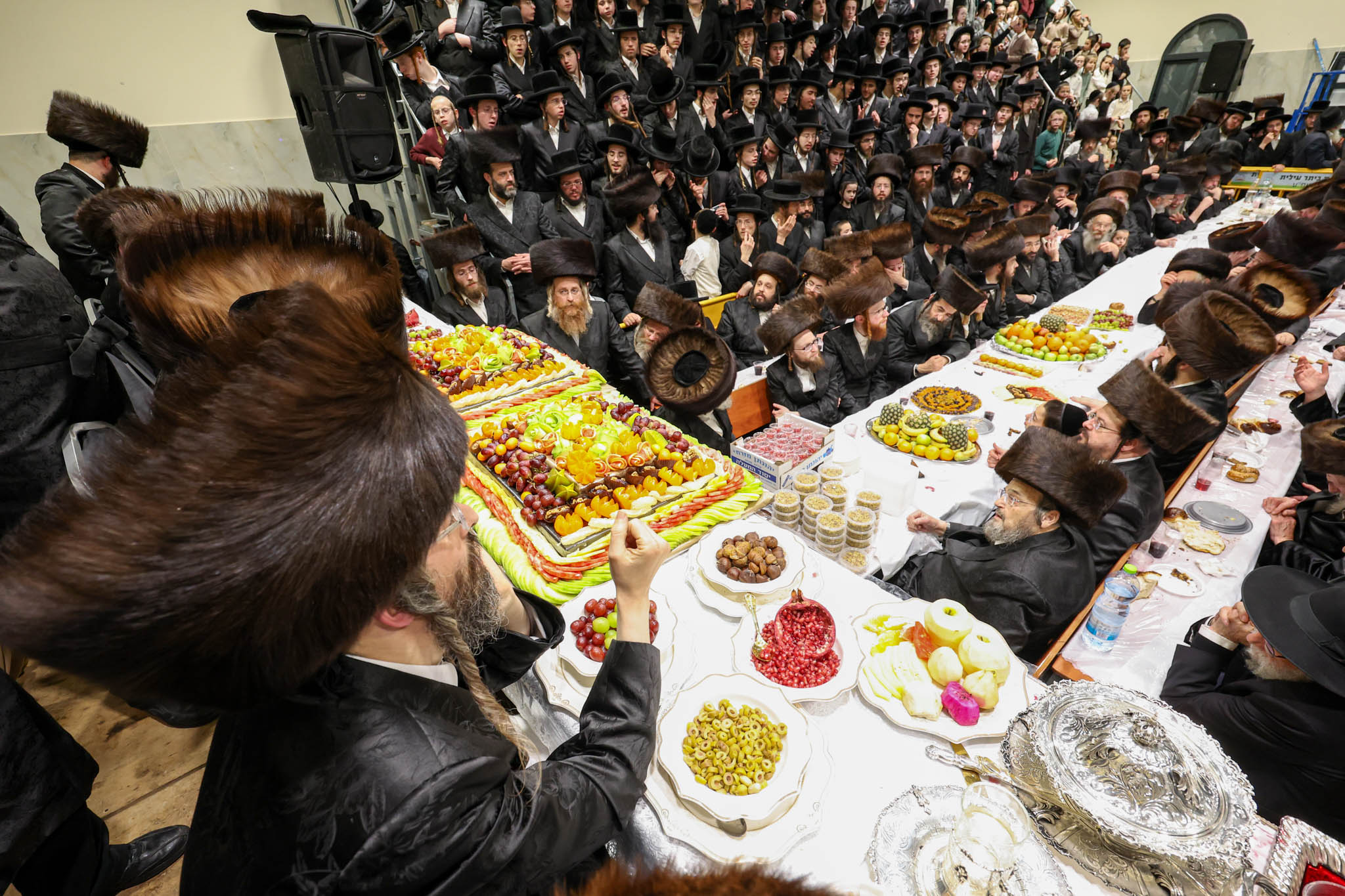 טיש טו בשבט, זוויעהל, צילום א איינבאך (20)