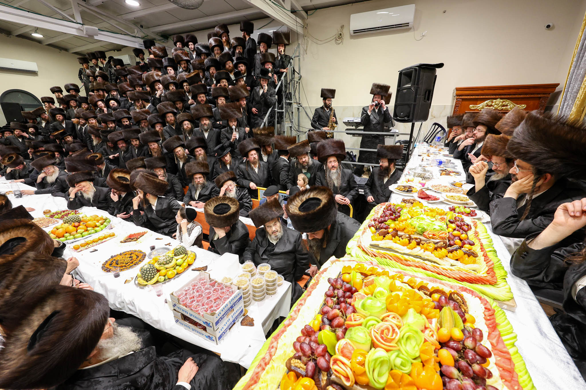 טיש טו בשבט, זוויעהל, צילום א איינבאך (22)