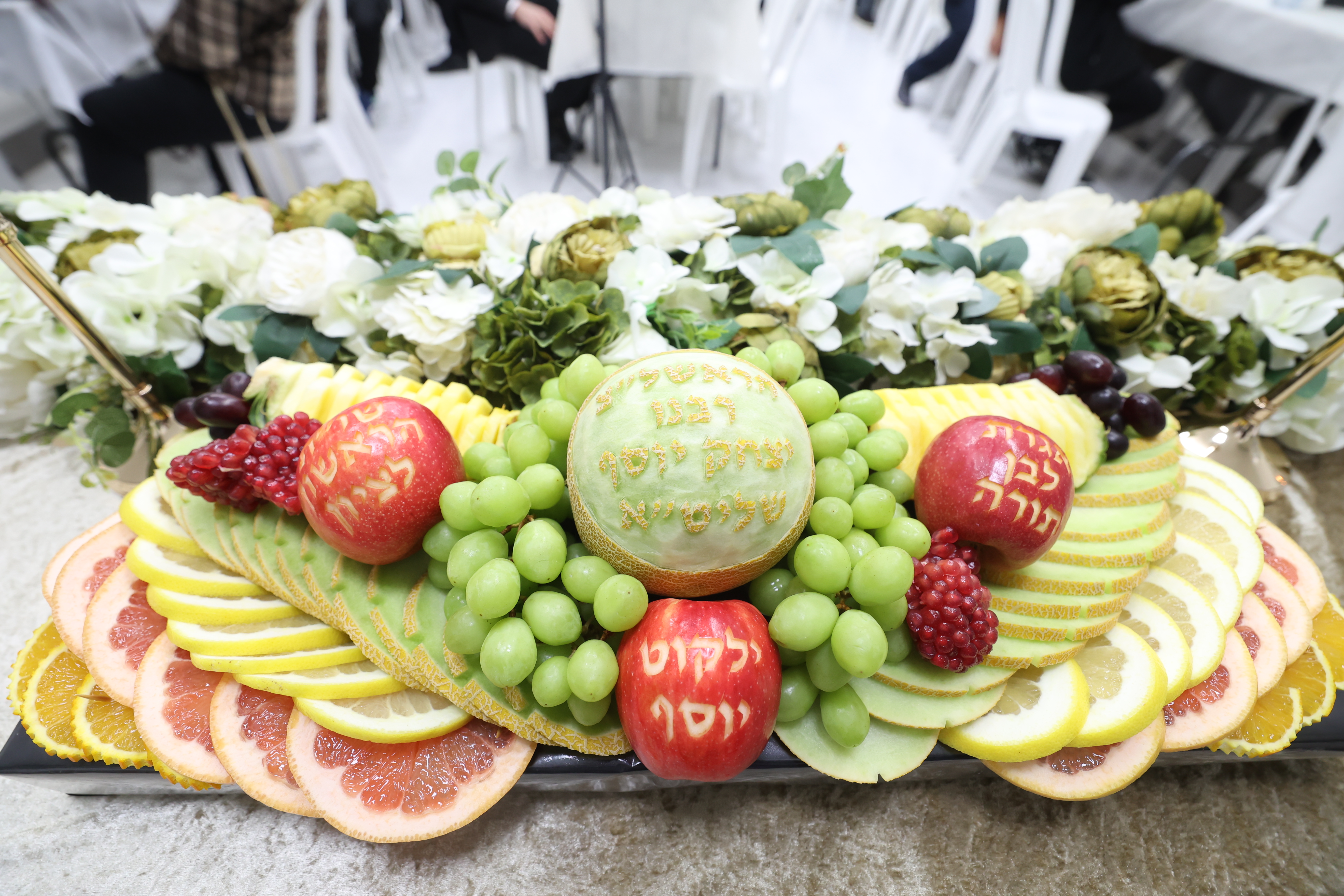 צילום דוד ארזני (3) צילום דוד ארזני (3)
