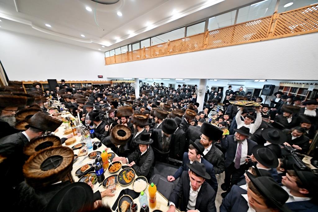 צילום יהושע פרוכטר, נעשכיז, (19)