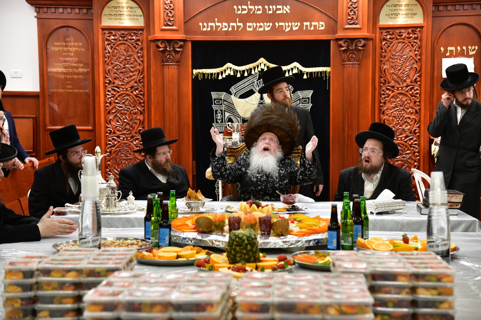 צילום יוסי לוי, קרעטשניף קרית גת (10)