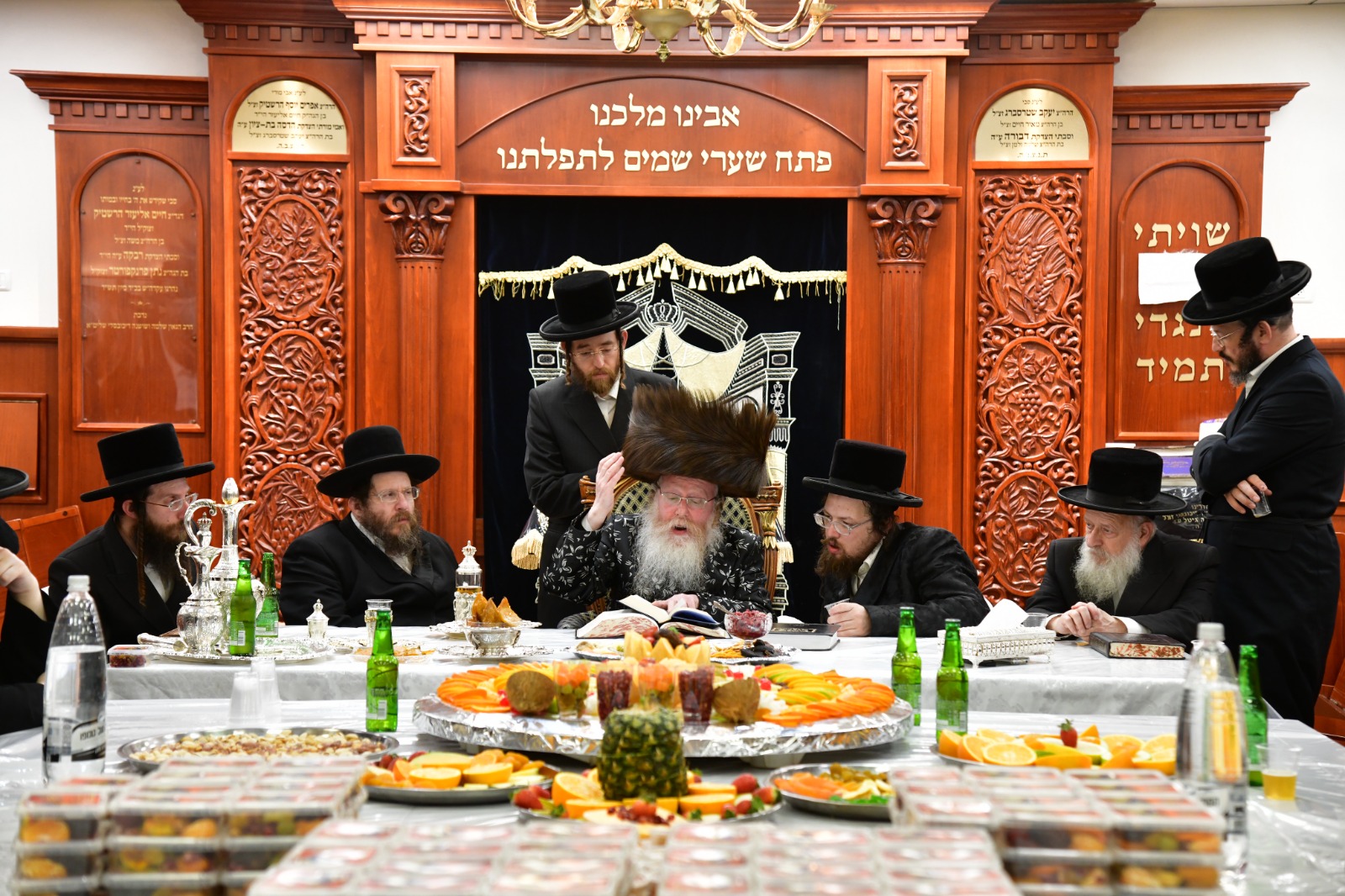 צילום יוסי לוי, קרעטשניף קרית גת (13)