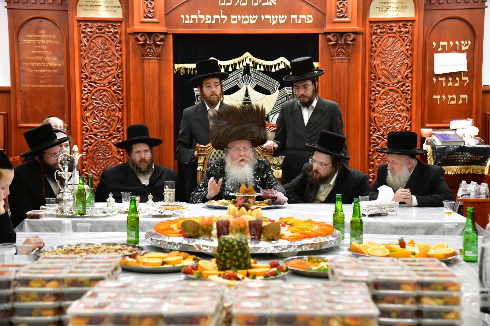 צילום יוסי לוי, קרעטשניף קרית גת (15)