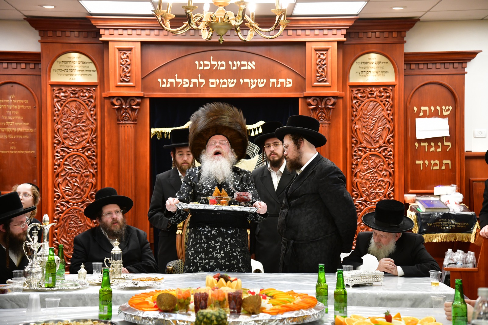 צילום יוסי לוי, קרעטשניף קרית גת (16)