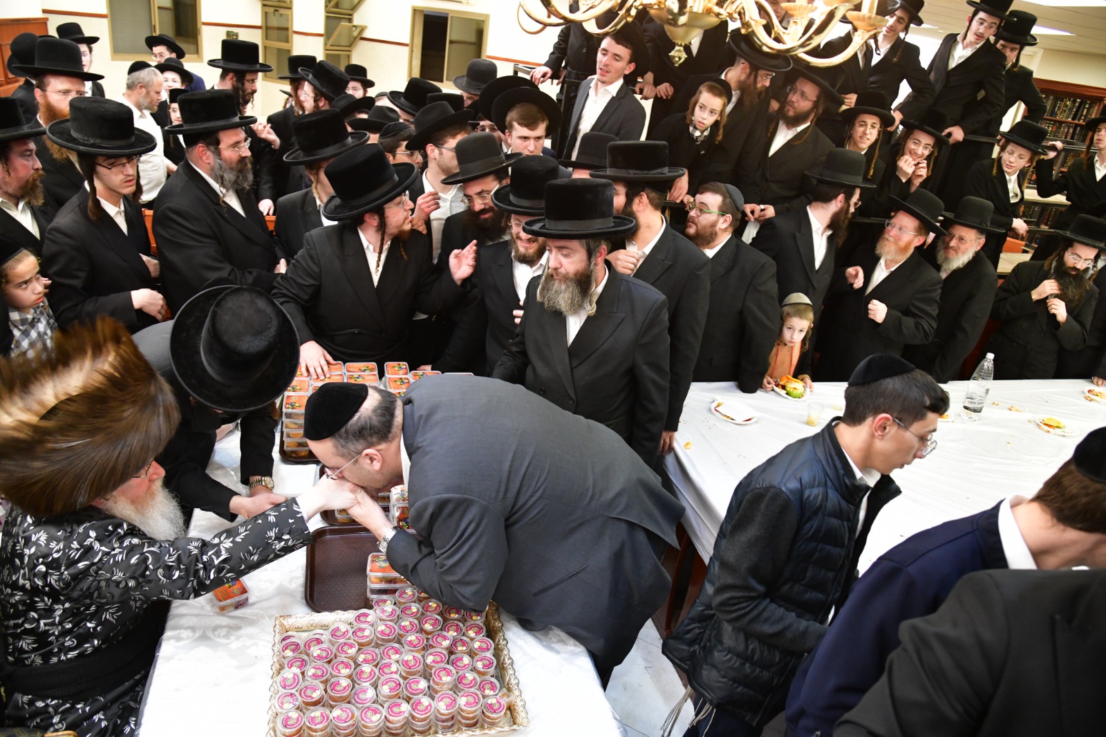 צילום יוסי לוי, קרעטשניף קרית גת (27)