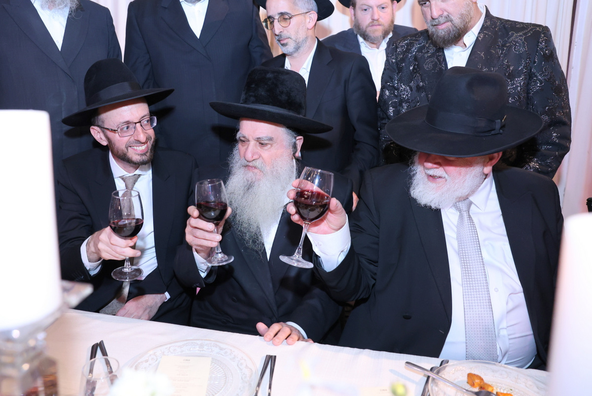 צילום יעקב כהן (11)