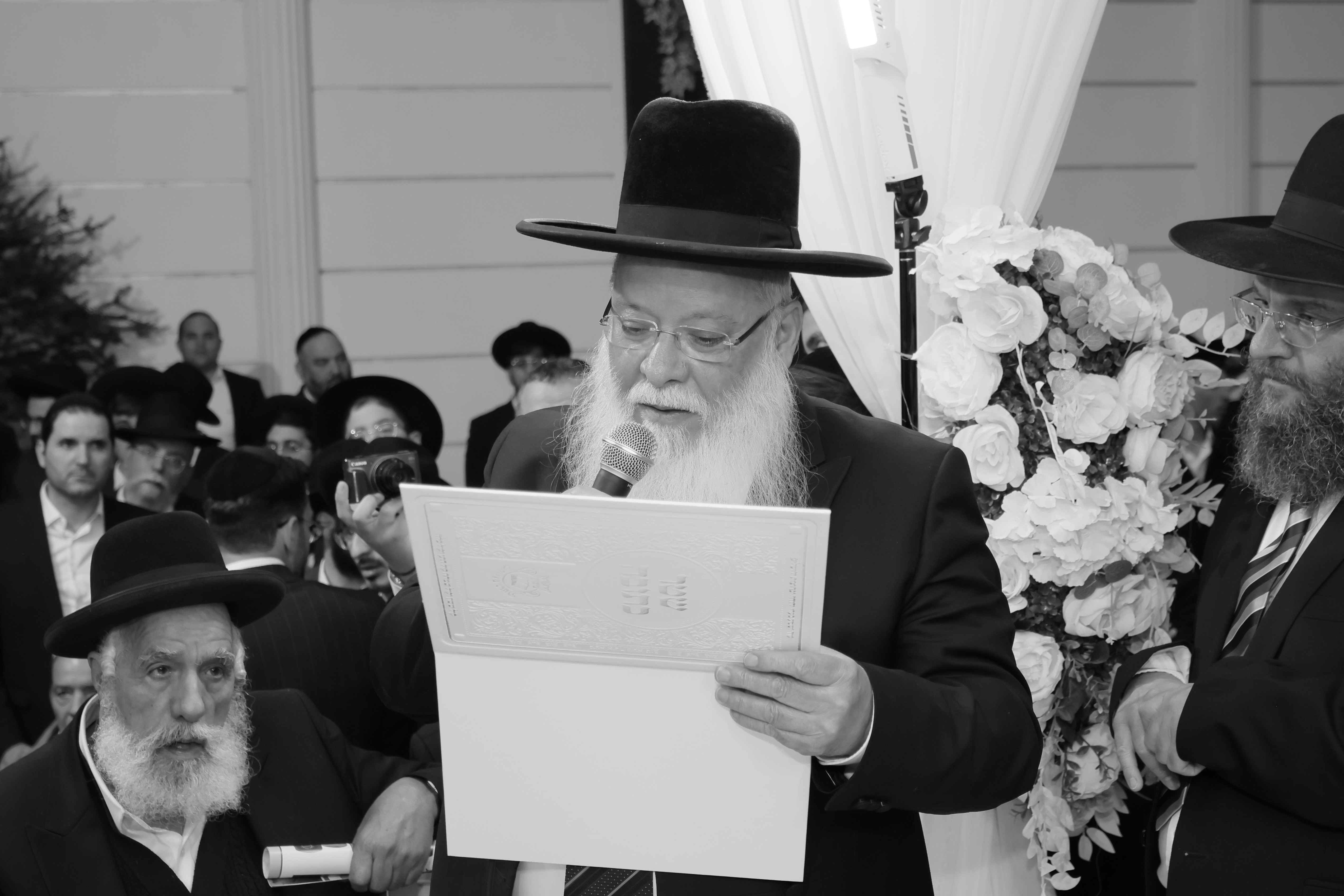 צילום עדי אברהם (11) צילום עדי אברהם (11)