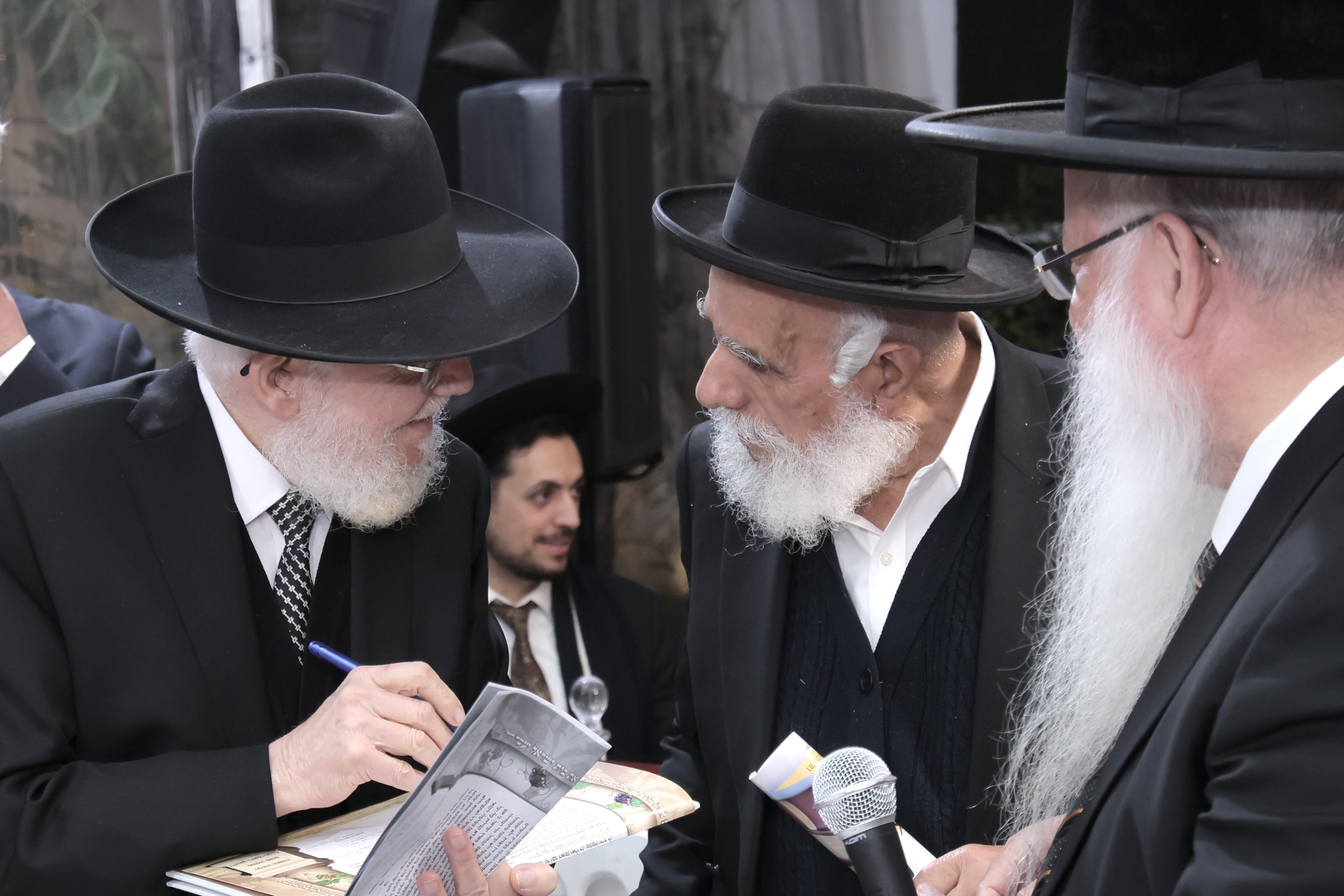 צילום עדי אברהם (14) צילום עדי אברהם (14)