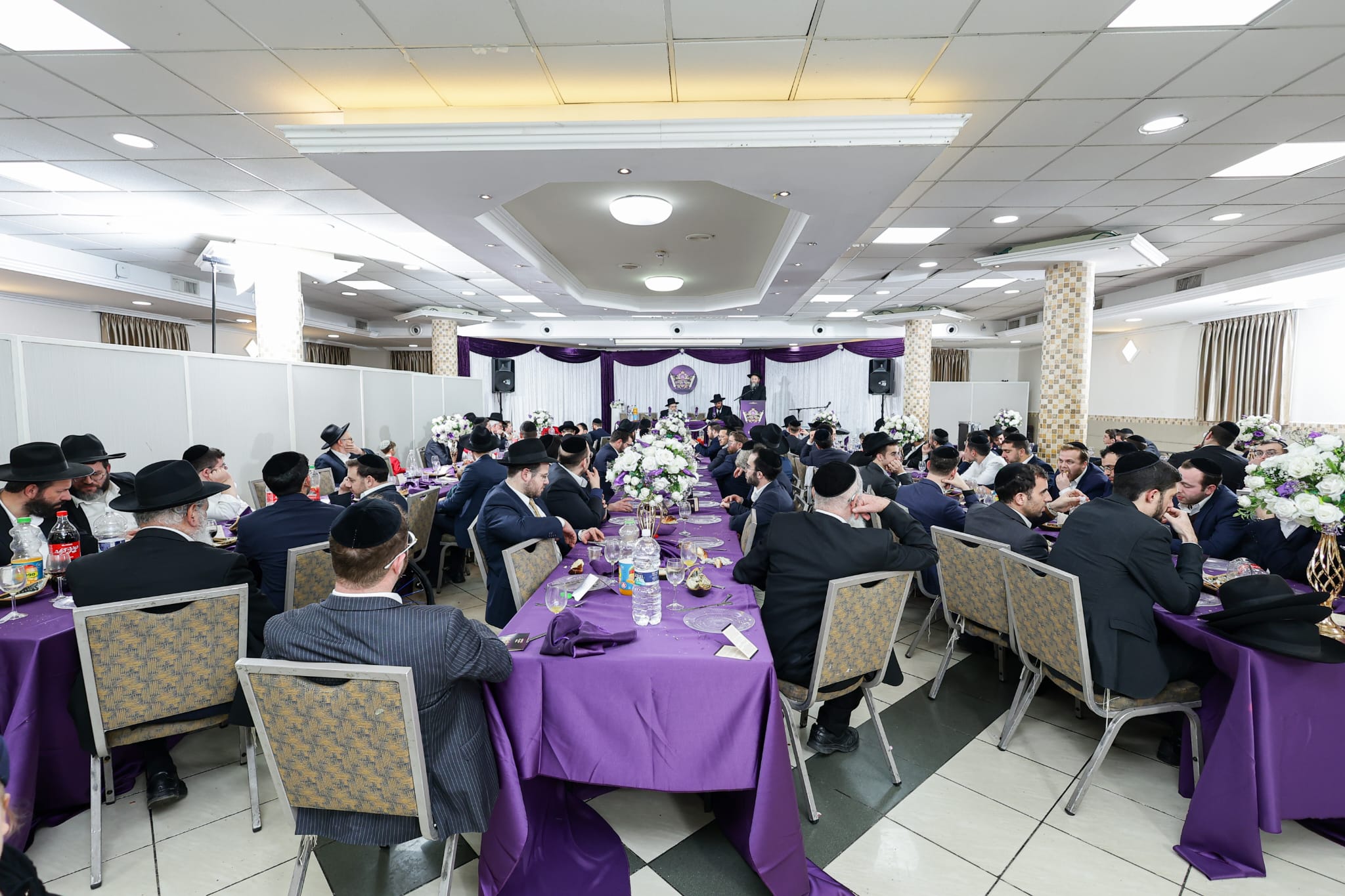 צילום שמואל שנקר (37) צילום שמואל שנקר (37)
