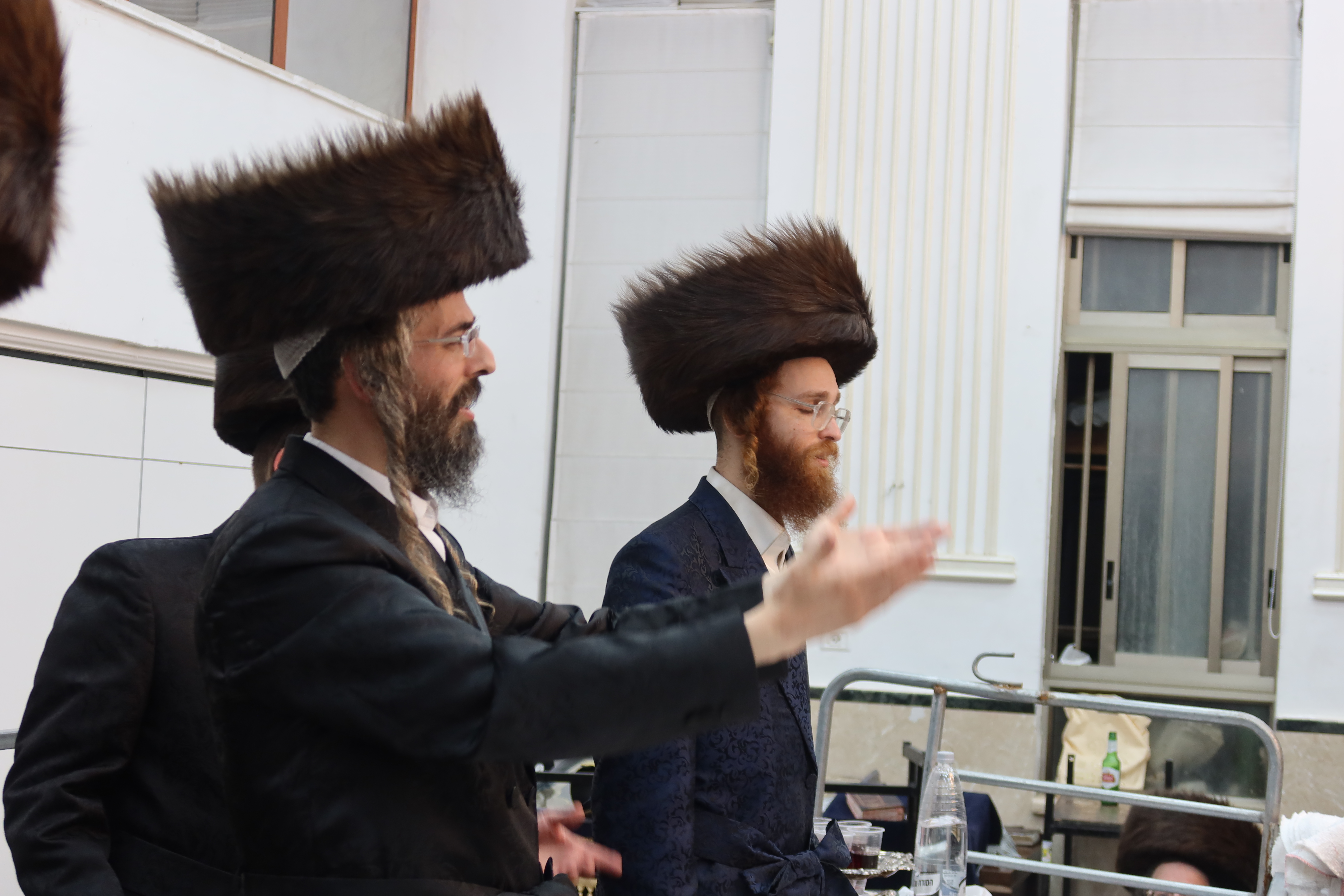 פורים זוויעהל, צילום שימי פ (11) פורים זוויעהל, צילום שימי פ (11)