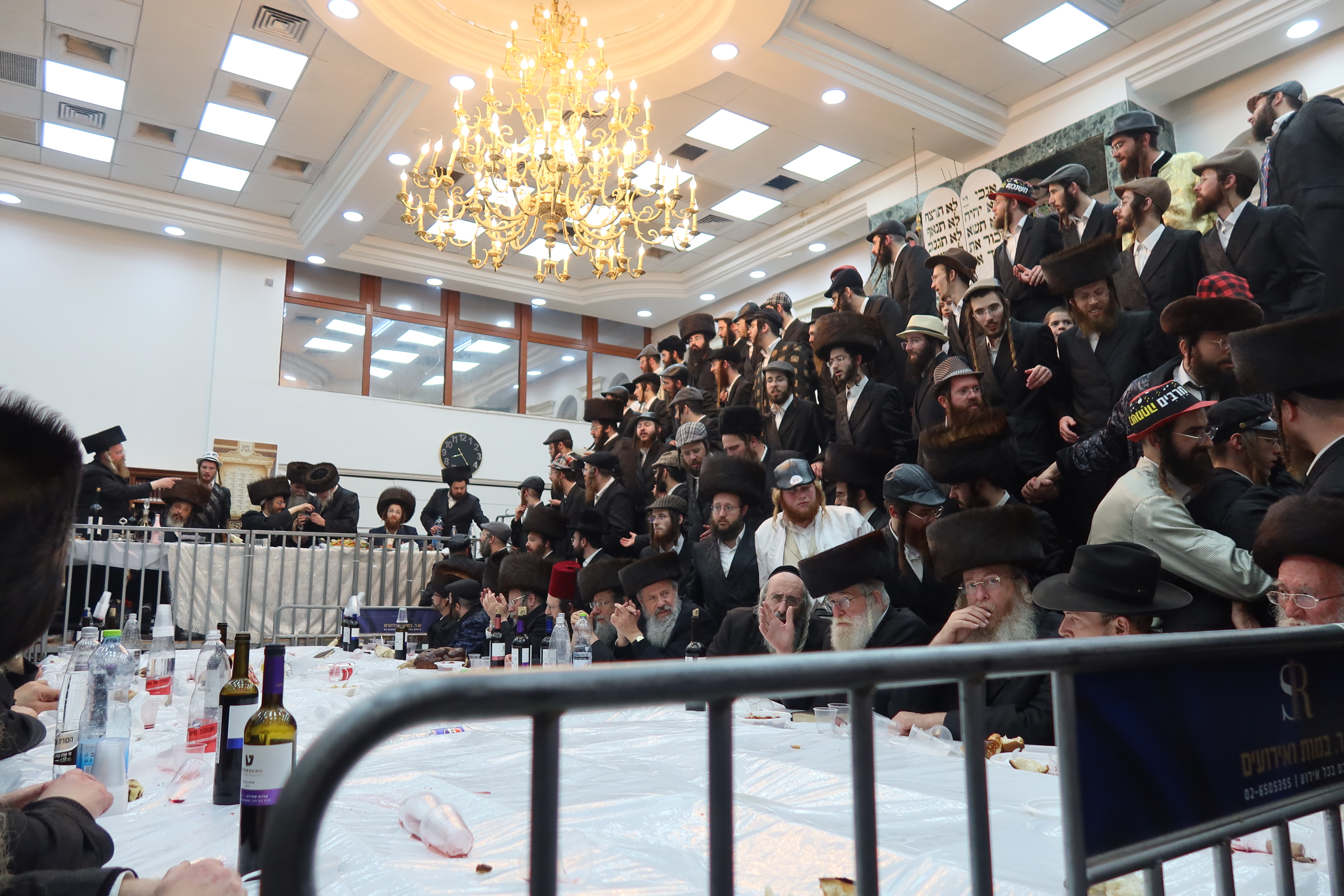 פורים זוויעהל, צילום שימי פ (14) פורים זוויעהל, צילום שימי פ (14)