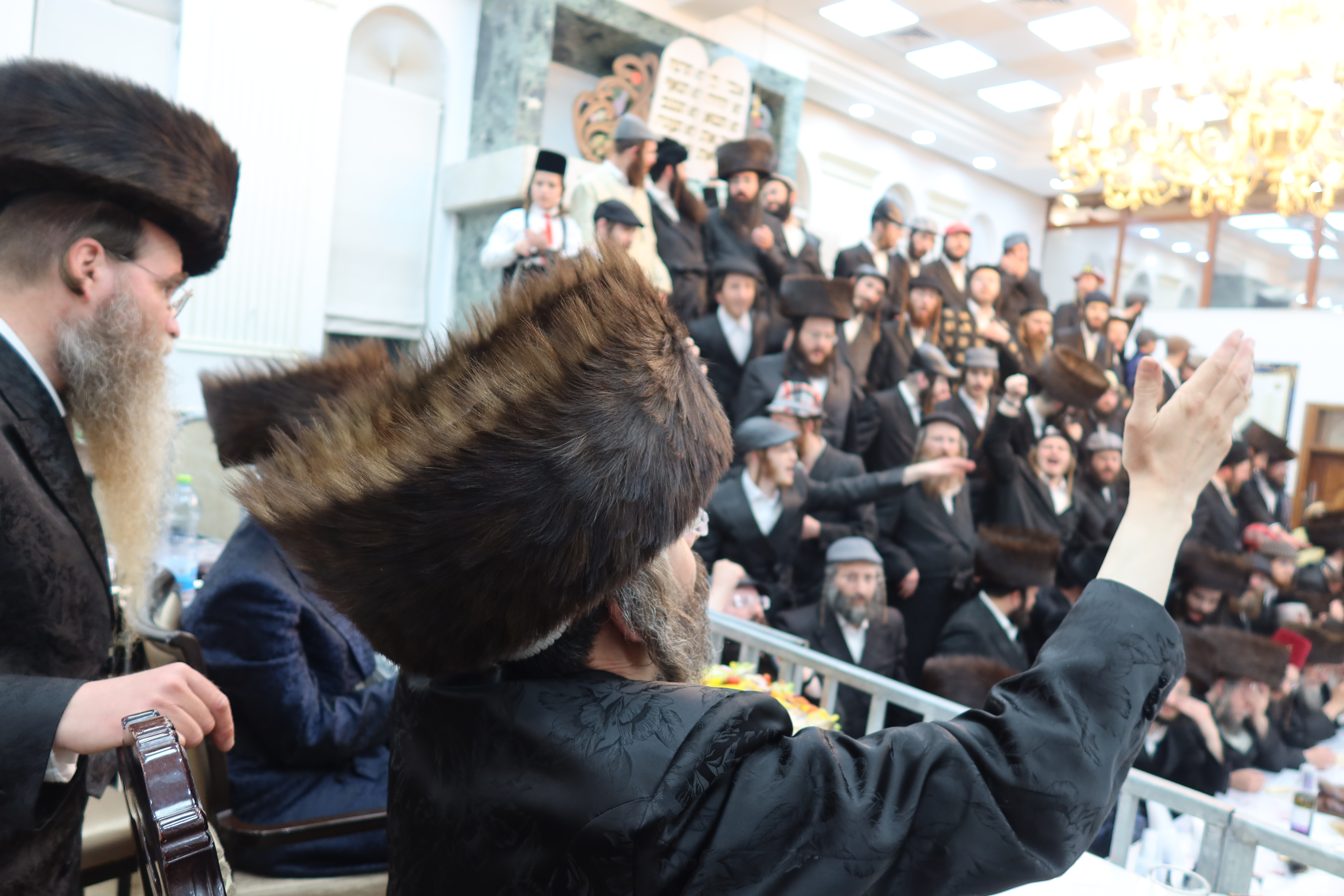 פורים זוויעהל, צילום שימי פ (16) פורים זוויעהל, צילום שימי פ (16)
