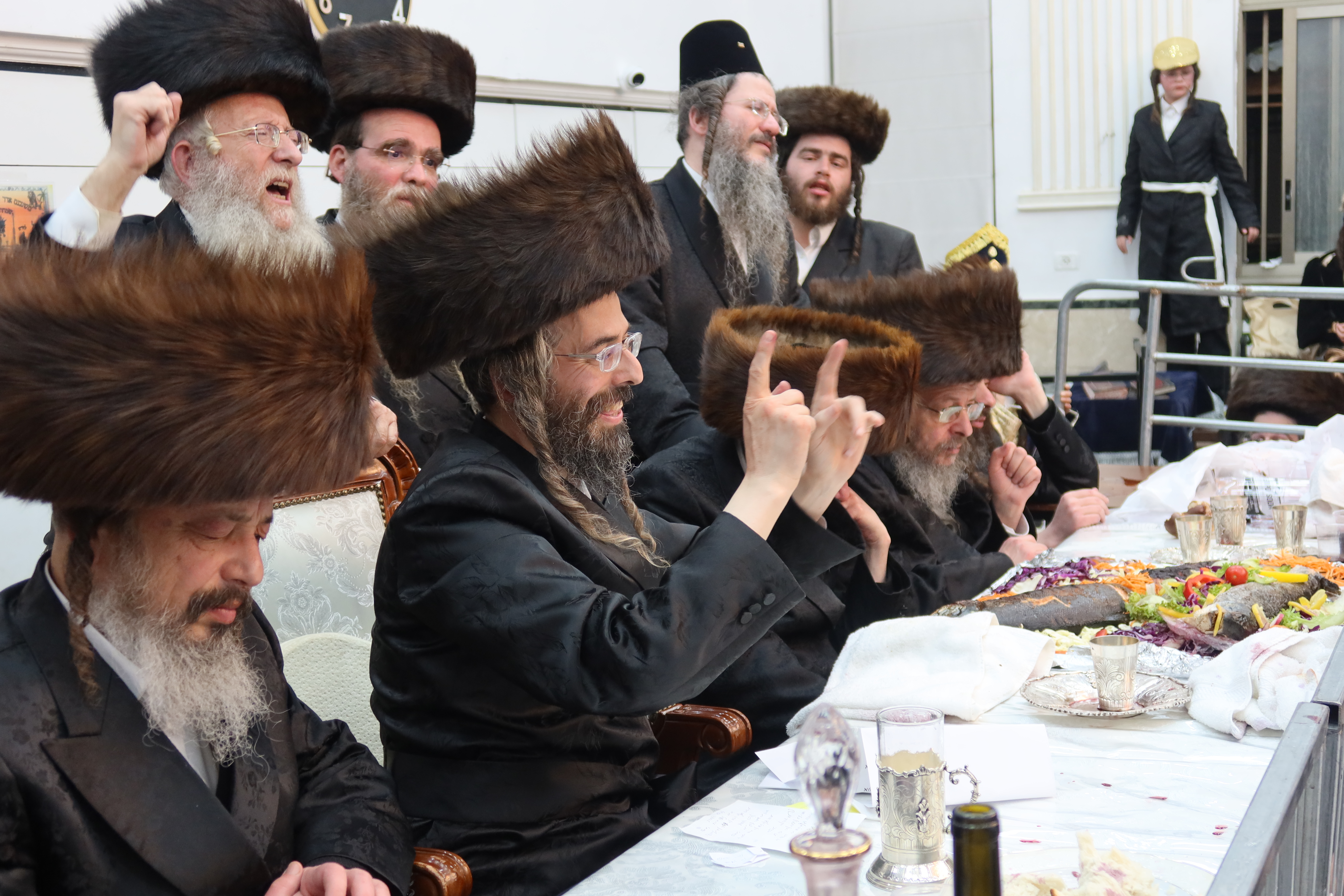 פורים זוויעהל, צילום שימי פ (18) פורים זוויעהל, צילום שימי פ (18)